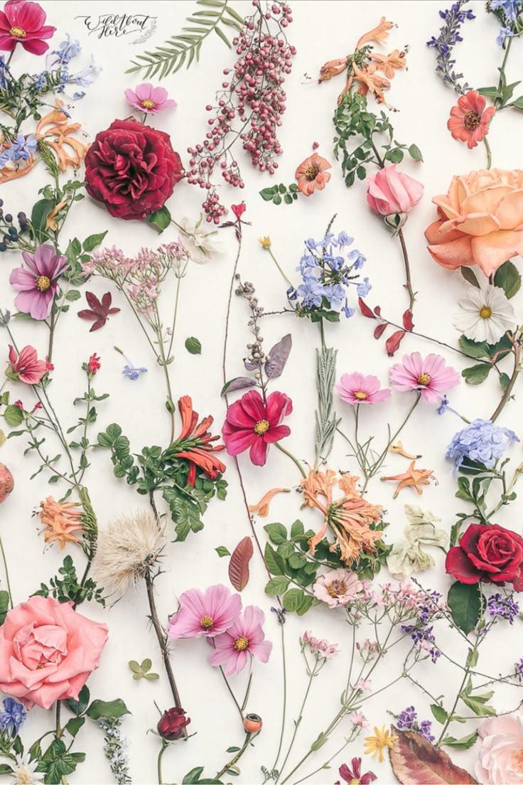 Starlight Whispers: Night's Floral Lullaby