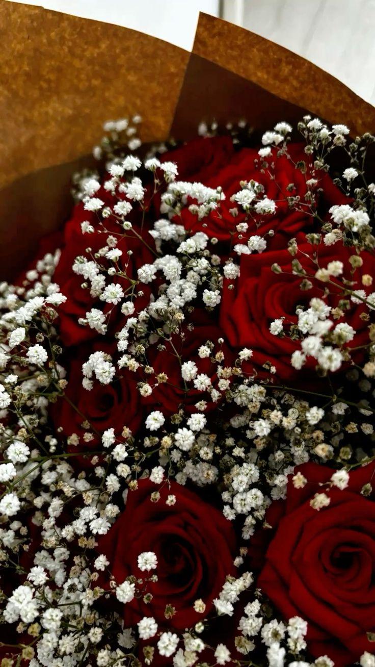 Morning Dew: Freshness in Petal Cascade